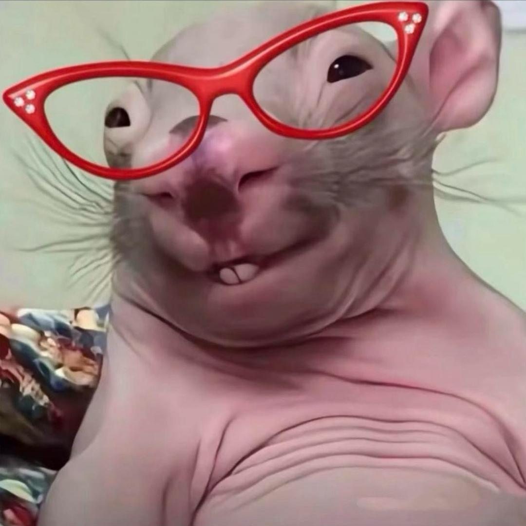 世界上最靠谱的男人