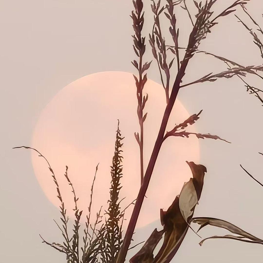 修庆