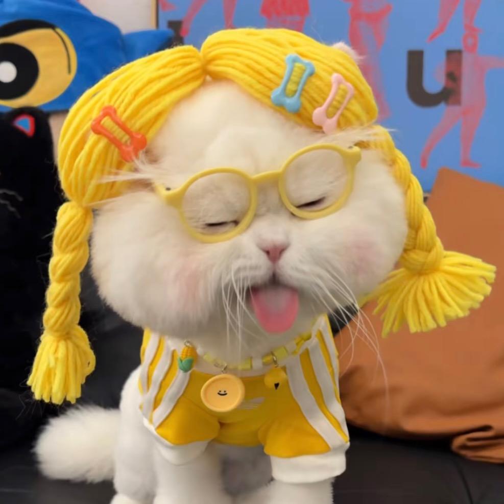 睡醒了没
