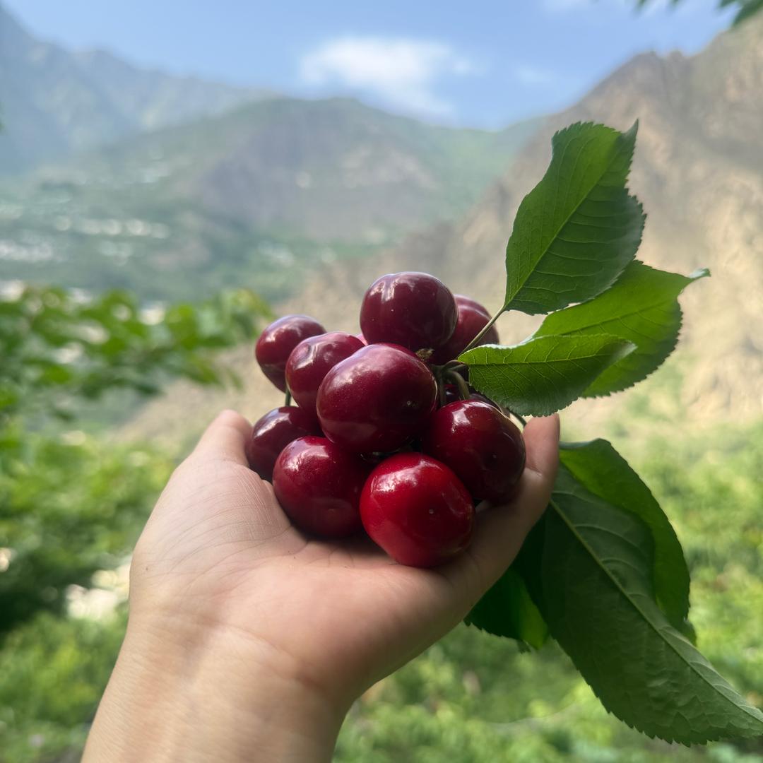 清沐灵泽