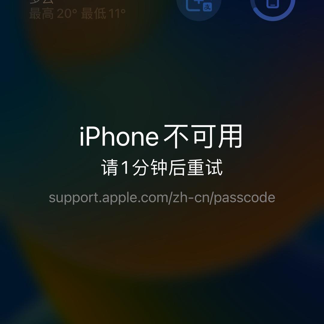你以为呢