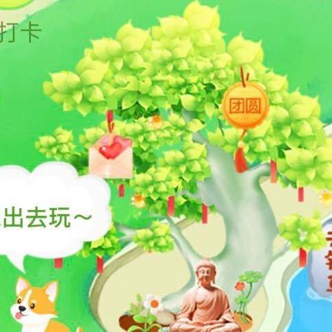 星星不闪包退