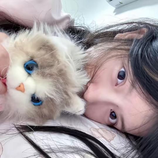 别抢我猫！