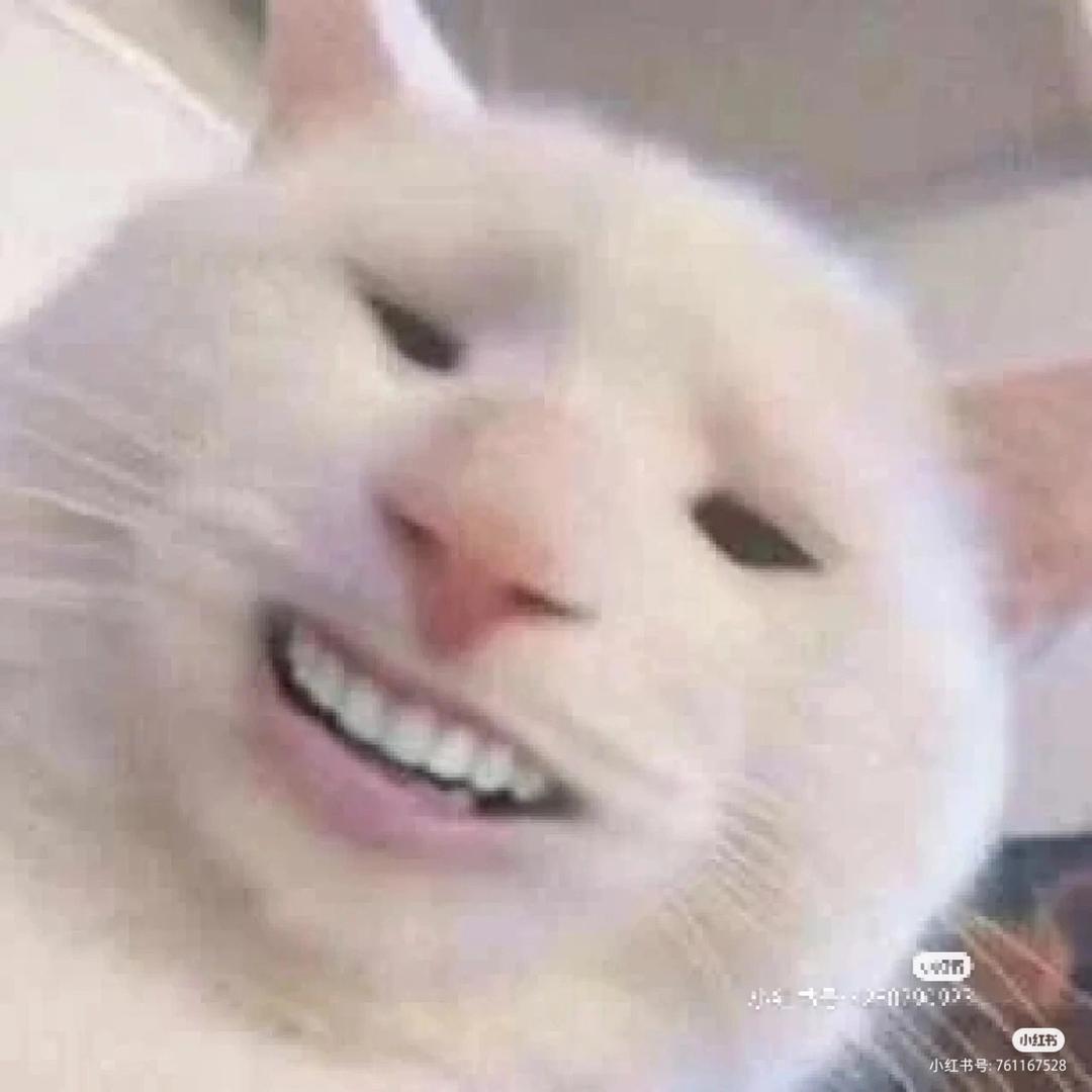 秘密文件