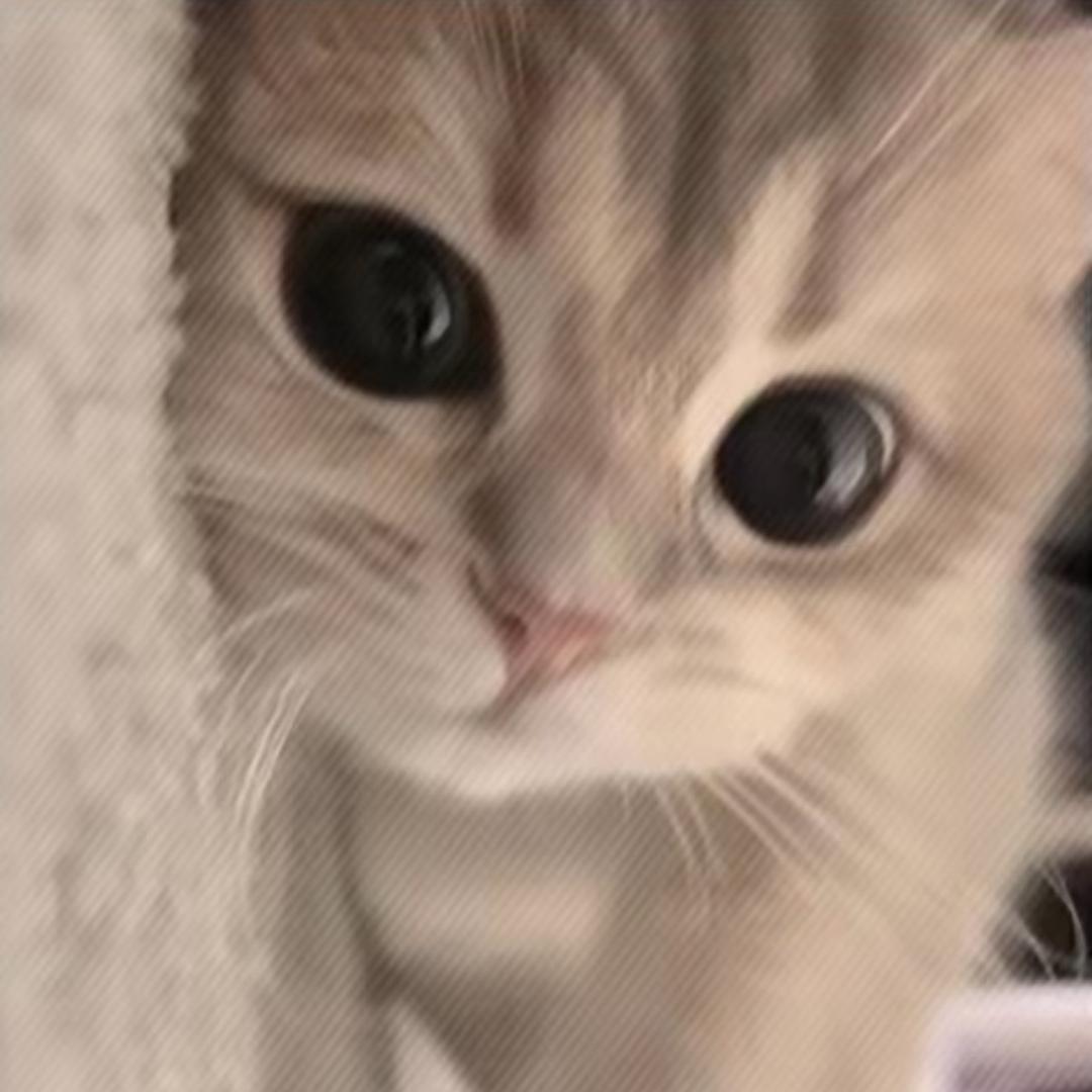 一碗丸丸