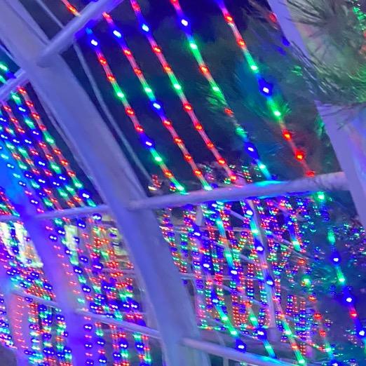 到处留言的靓仔