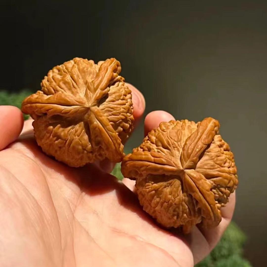 诺诺文玩