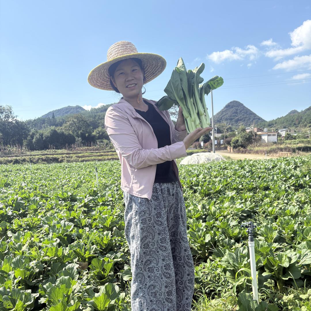 @小胖夫人-连州农产品供应链