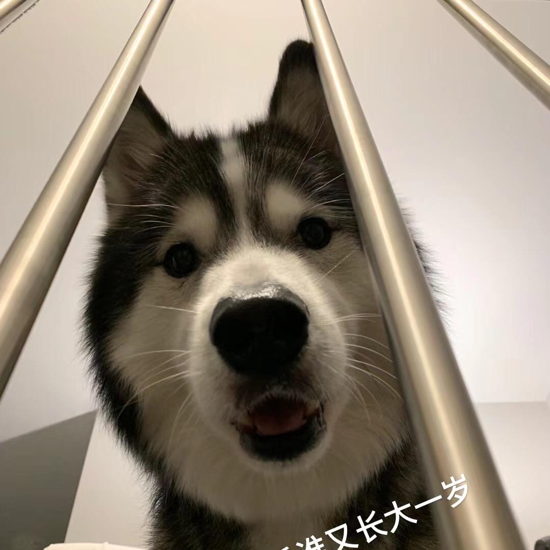 二威的日常