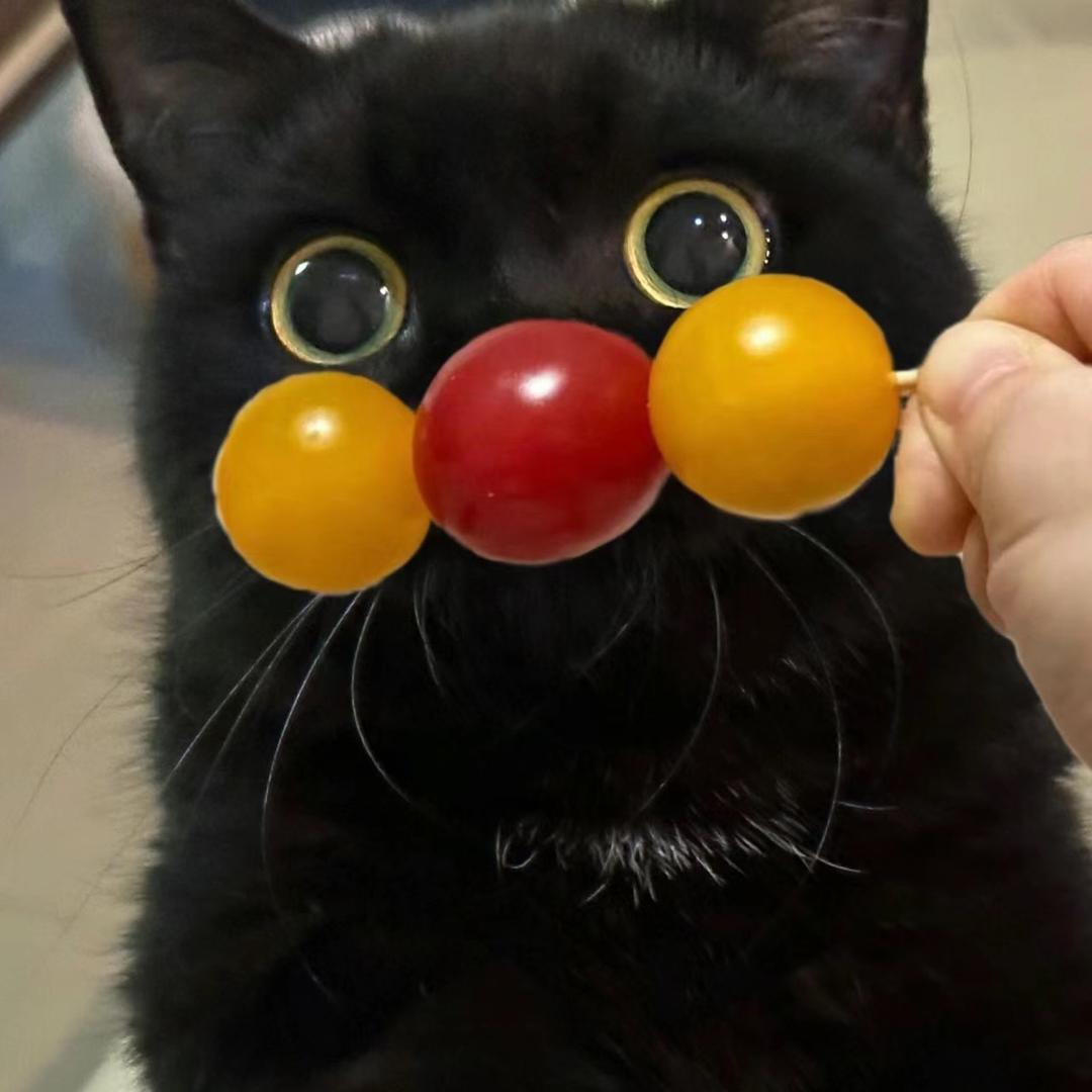 赵小小小小小小赵