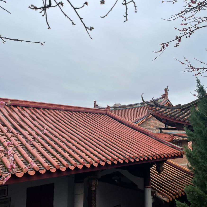 顺其自然