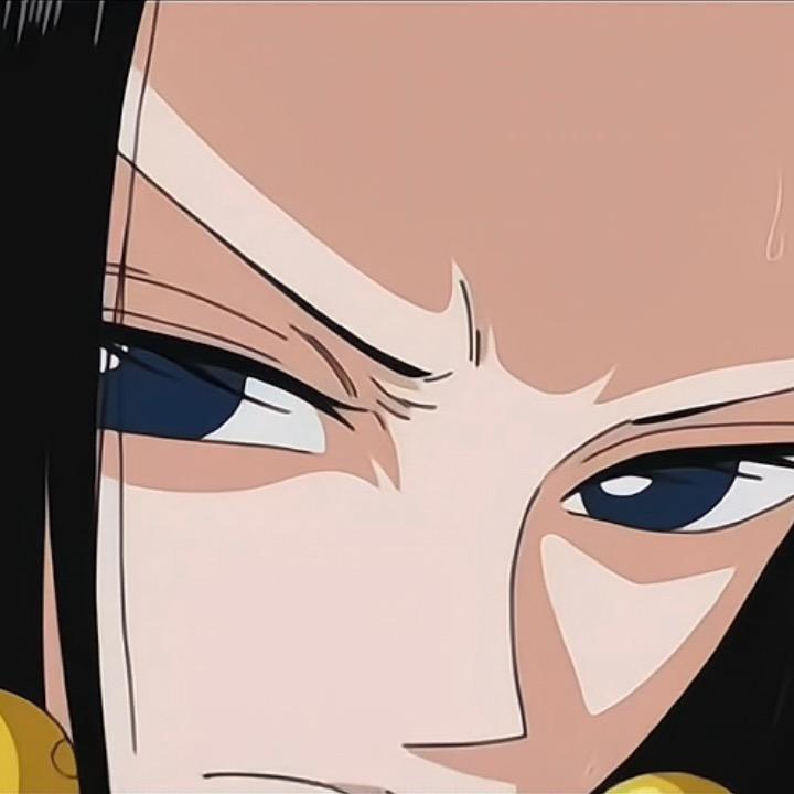 我是路飞的小宠物👑