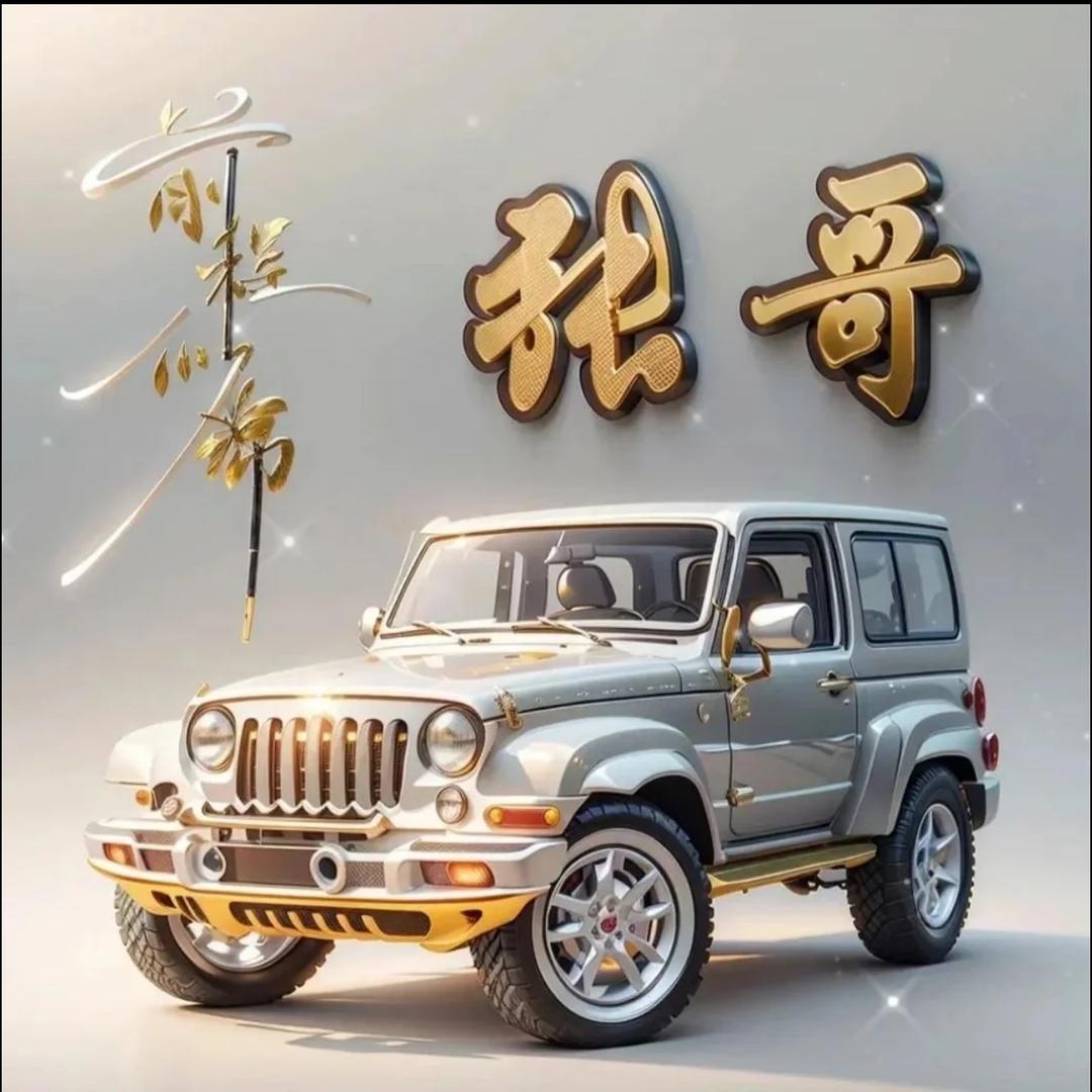 AA二手车张建国