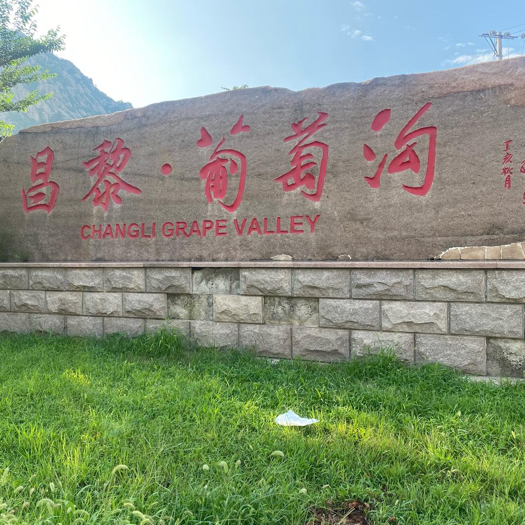 昌黎葡萄沟旅游采摘园