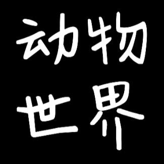 清影大自然@抖音