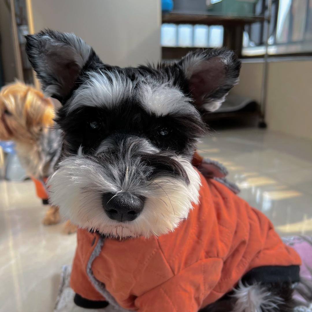 罗先森