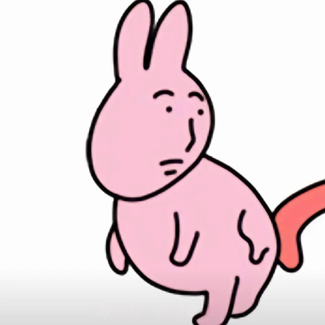 圆小洁