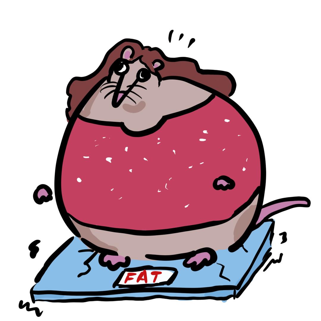 公主的鼠房萌宠屋