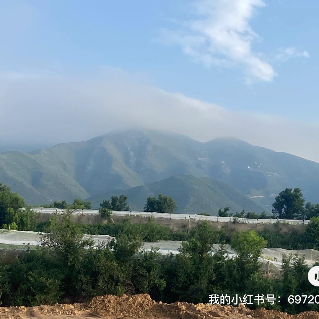 怀来沙营青秀葡萄园