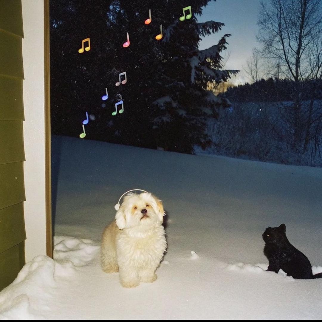 ˶'ᵕ'˶