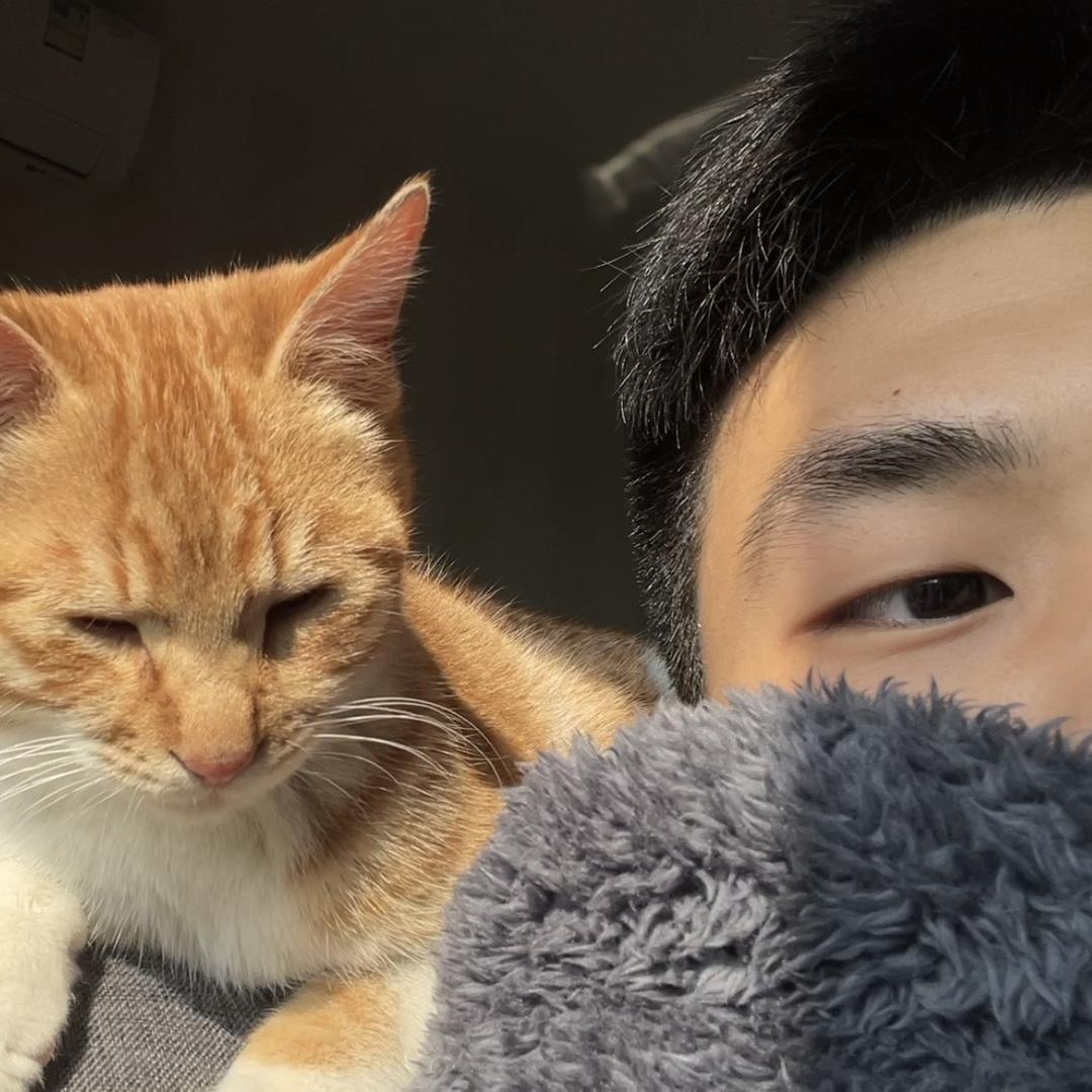 不二鸦