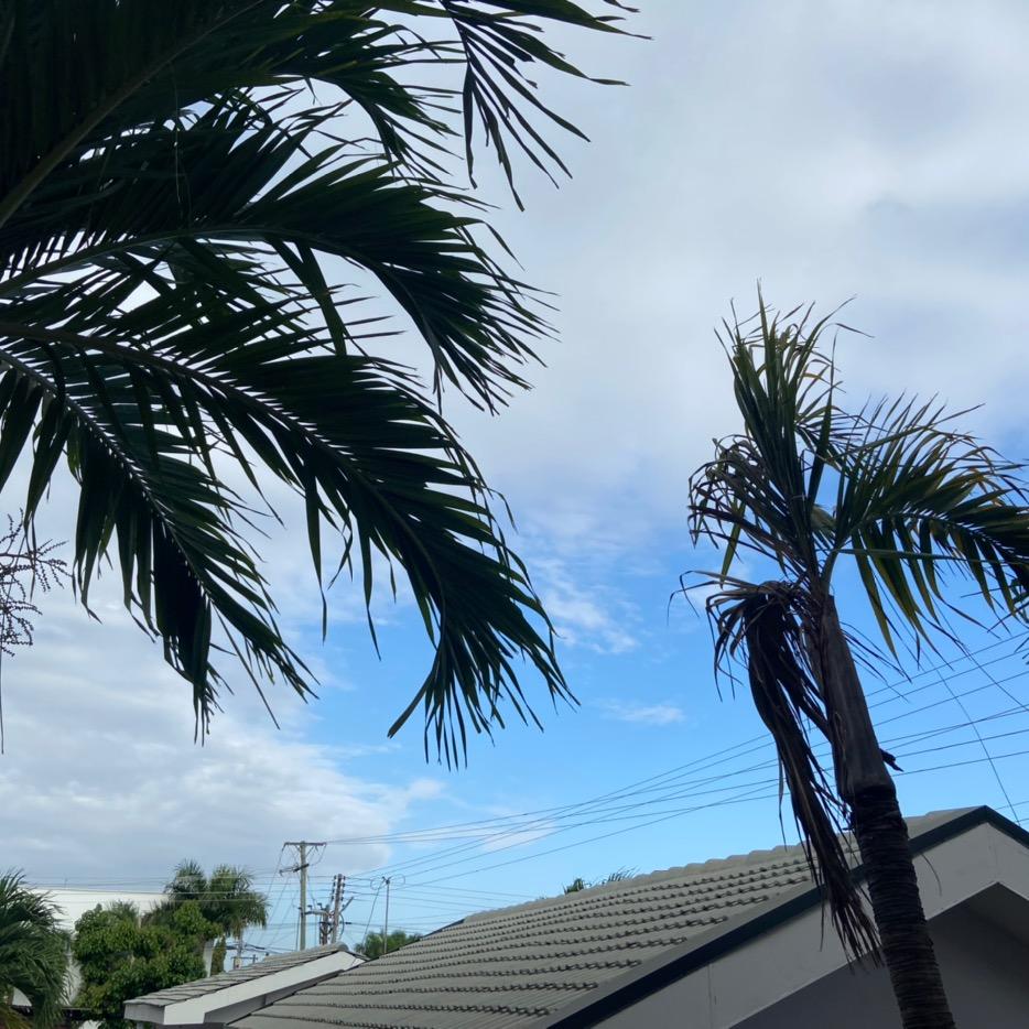 放纵不羁爱自由