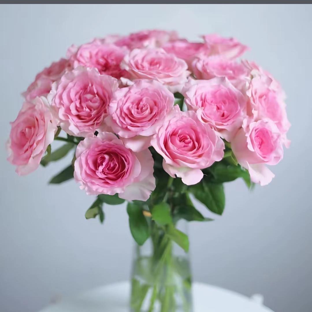 如梦💕花卉