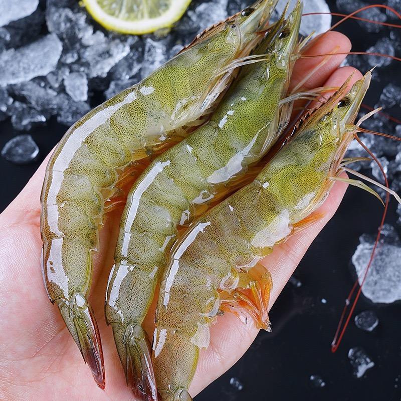可耐鲜黑虎虾