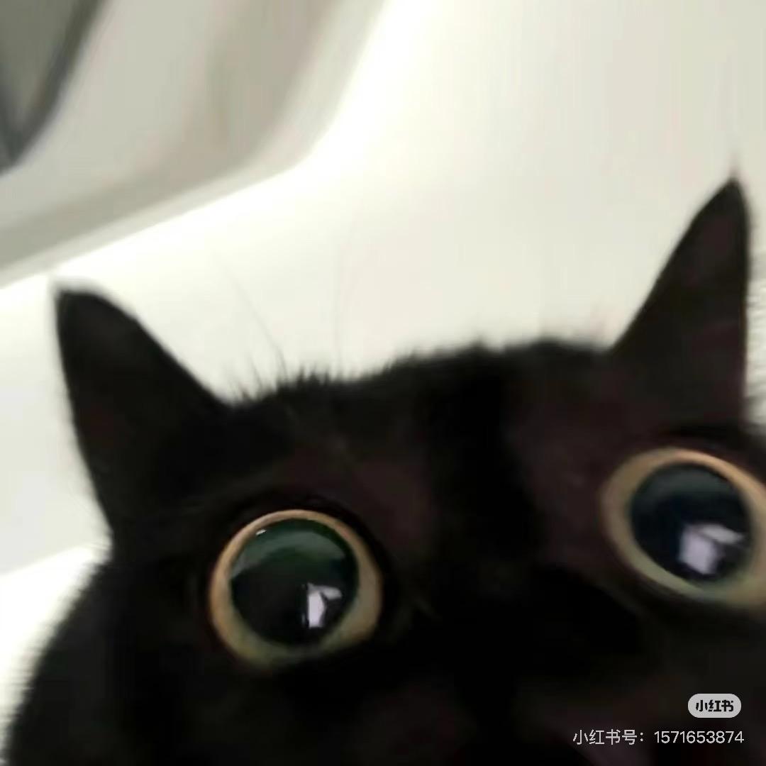 、、、、、