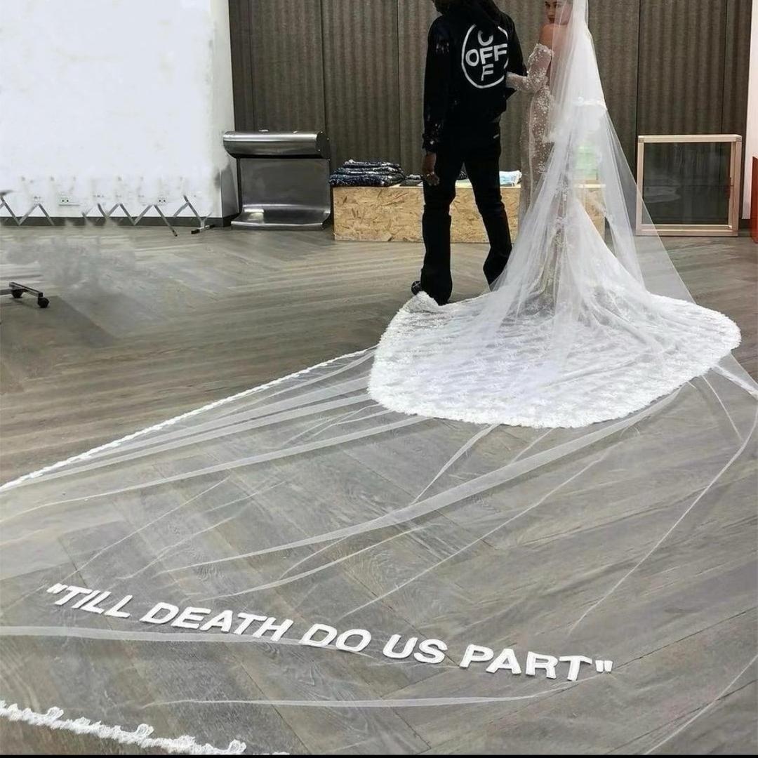 不要乱摸我尾巴