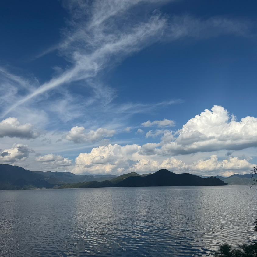 古月