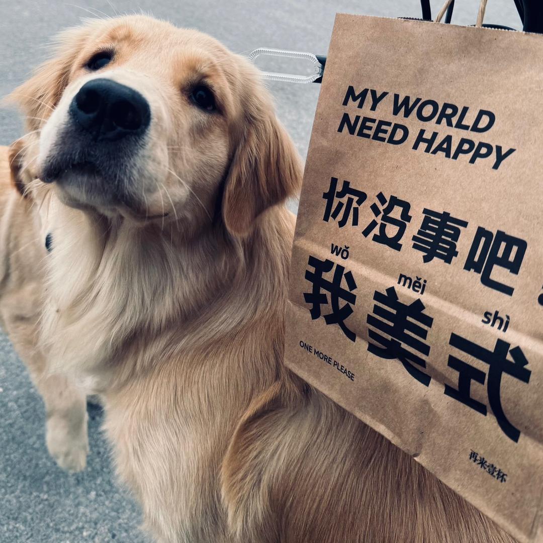 西葫芦不吃粑粑