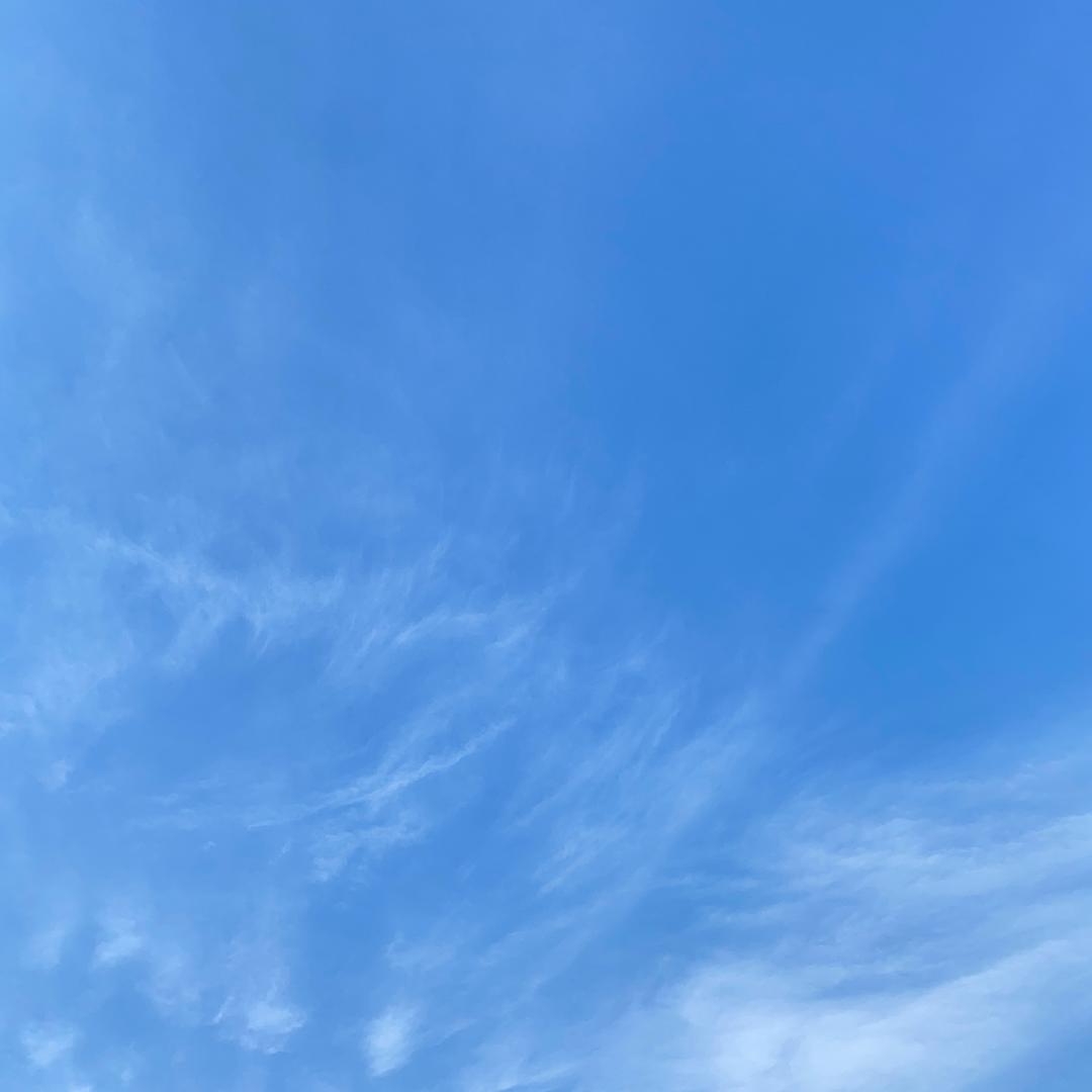流星之泪♎
