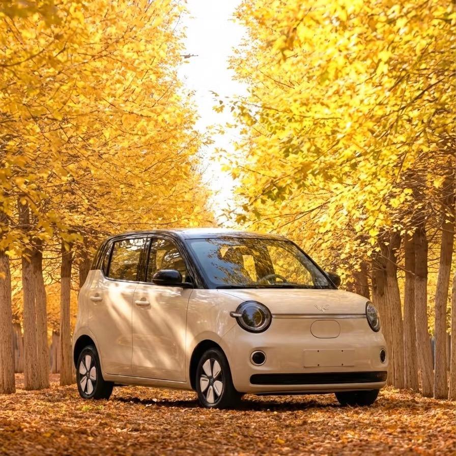 五菱宏光 mini（12 月最新报价）