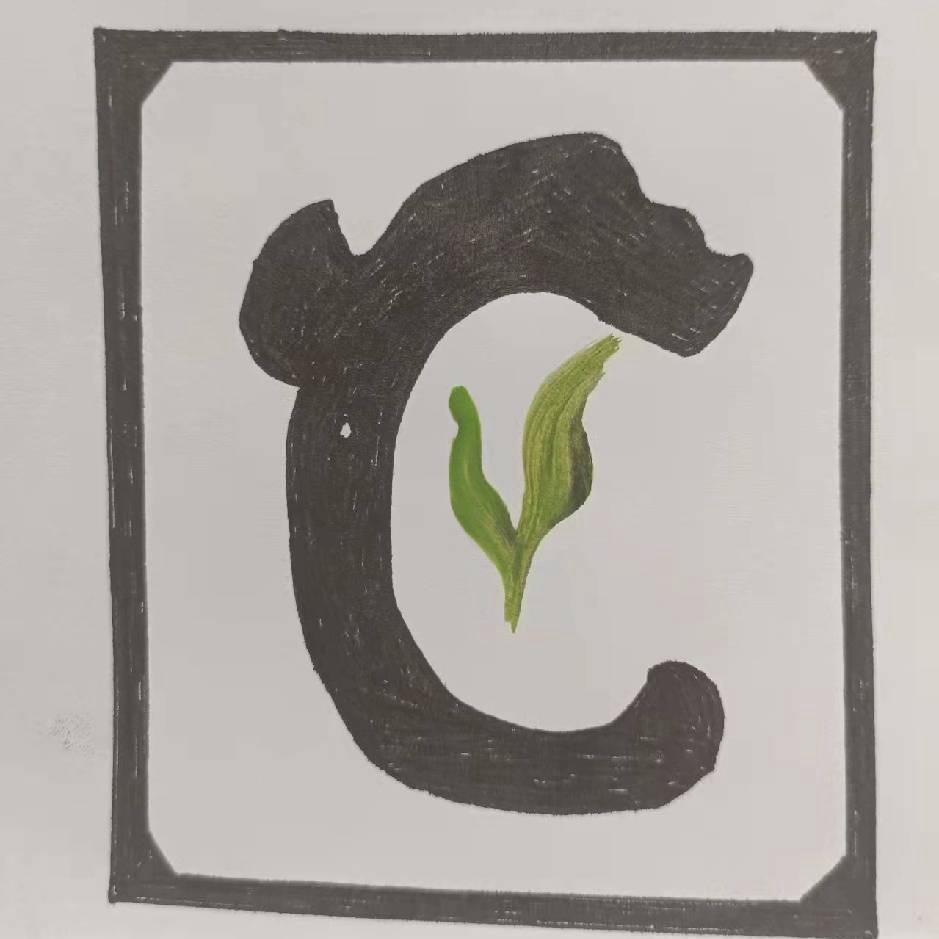 陇生松风古美术～