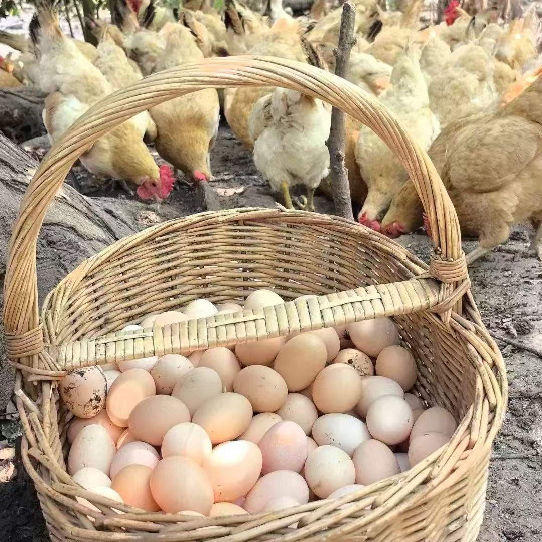 盱眙玉皇山雨辰养鸡场