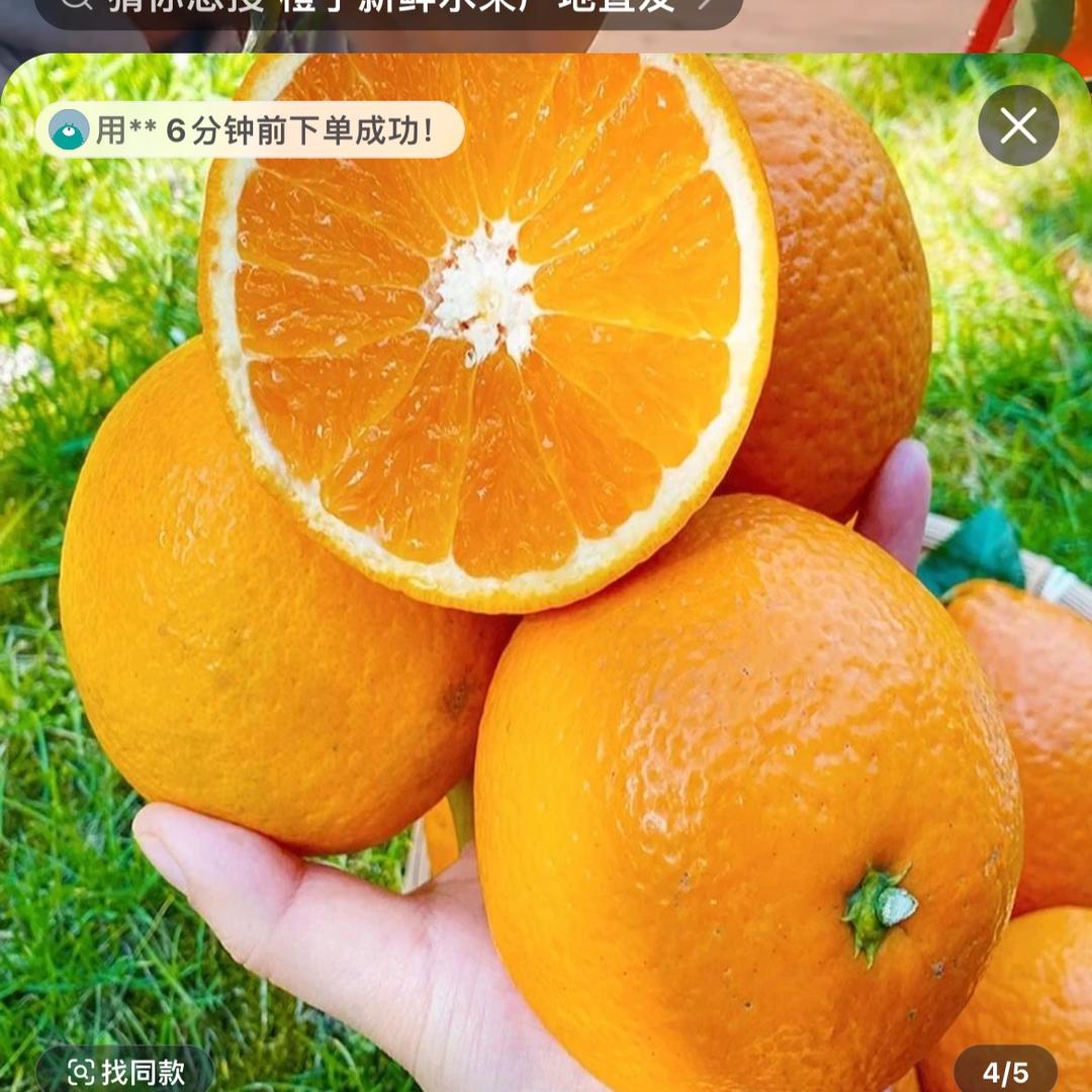 爽爽果园