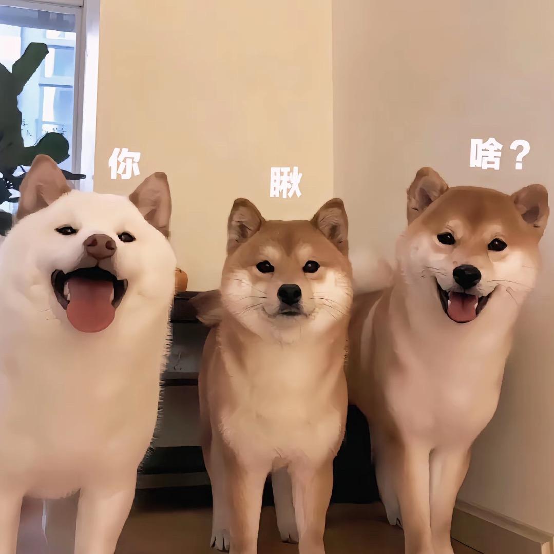 爱喝可乐！