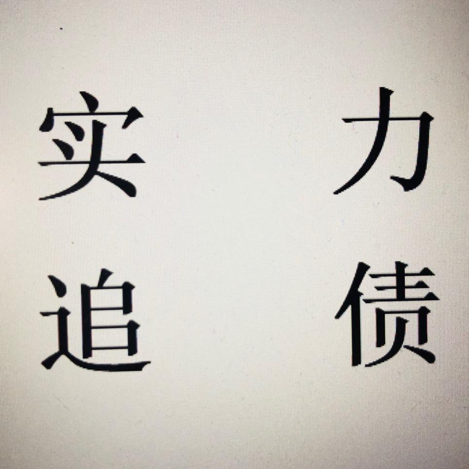 武汉执行律师｜天领