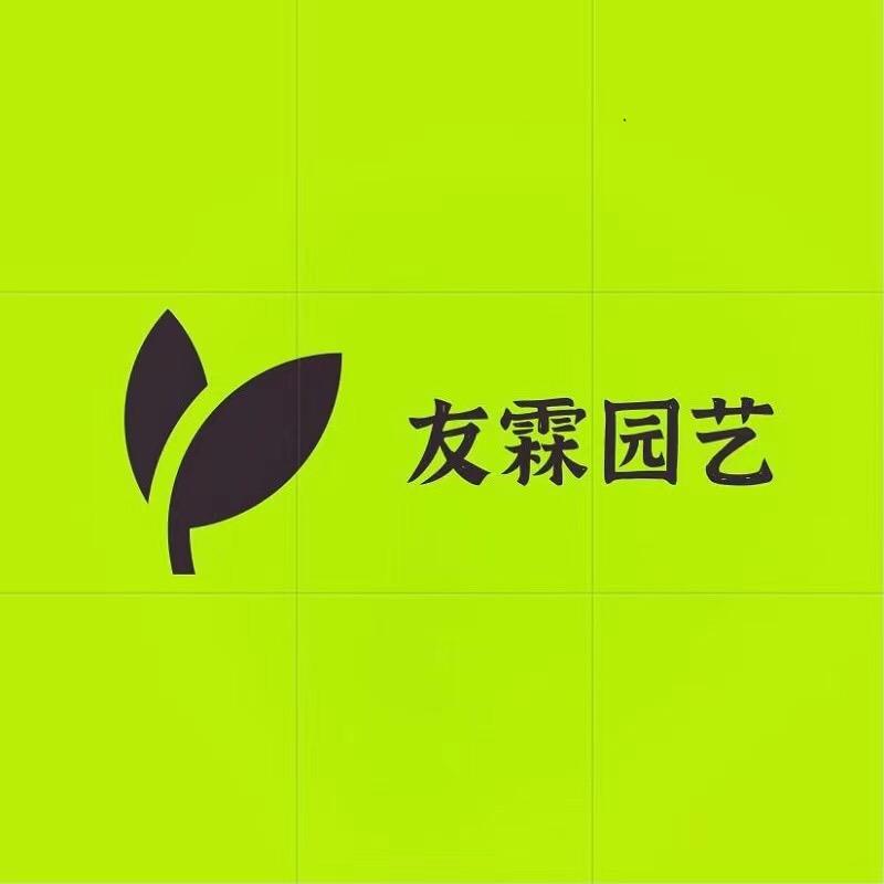 友霖园艺盆景