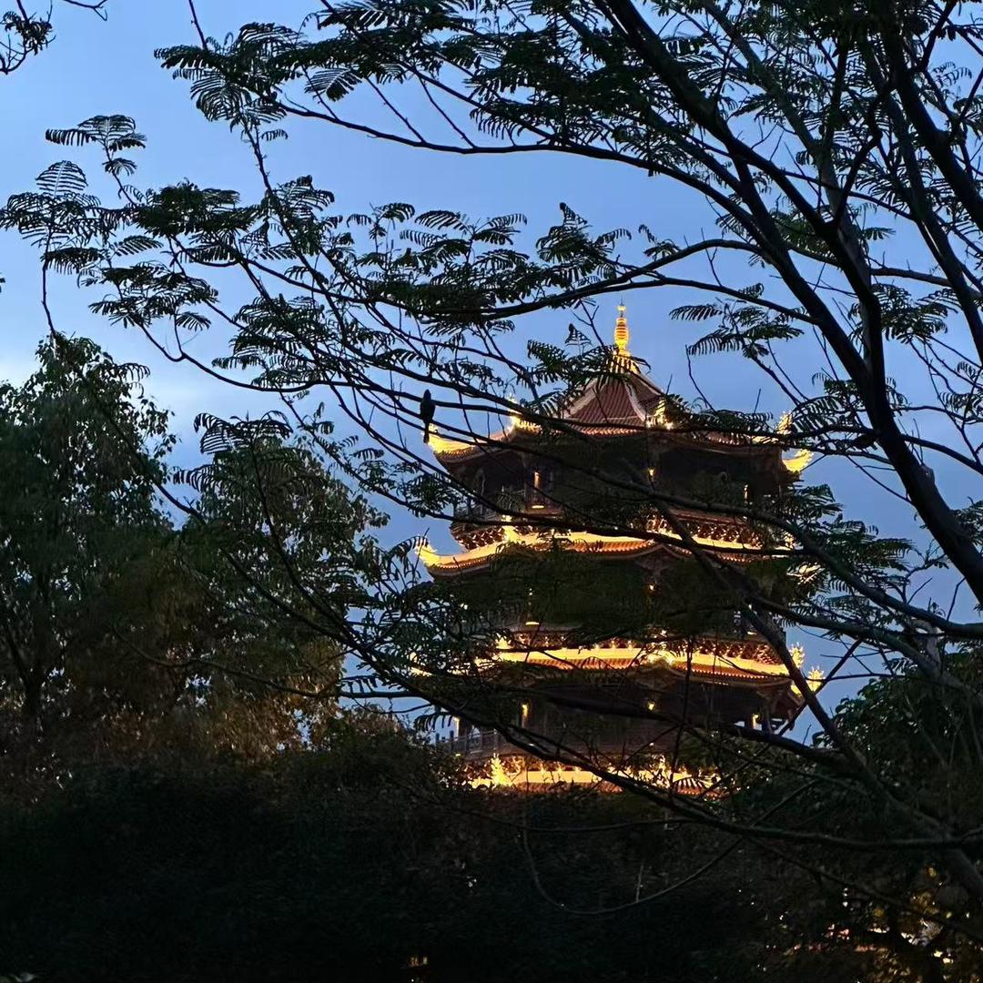 用户三分糖