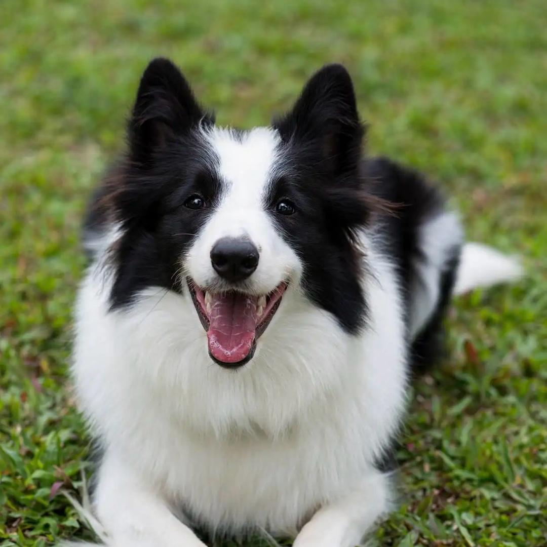 三三两两优品分享