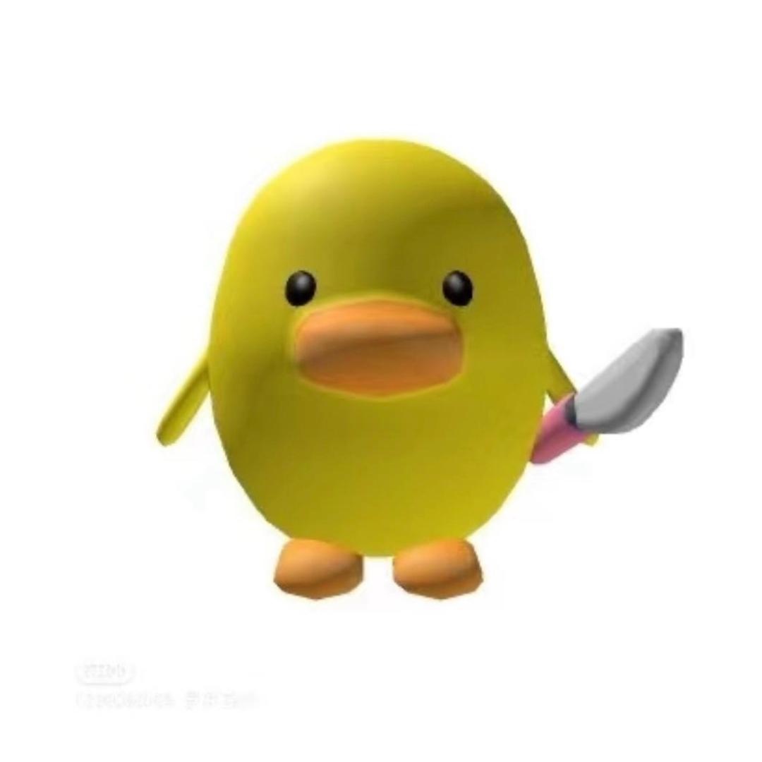 小白💤 💤 💤 💤 💤 💤