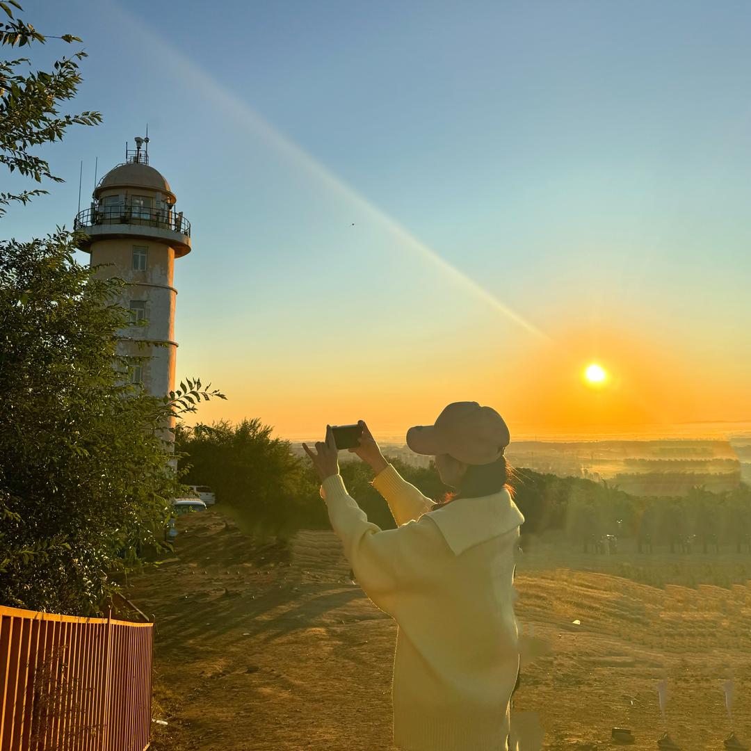 重生之我是懒羊羊🐑