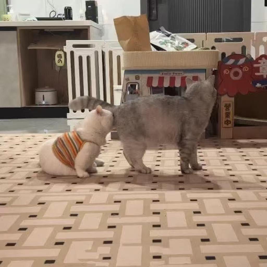 爱计较