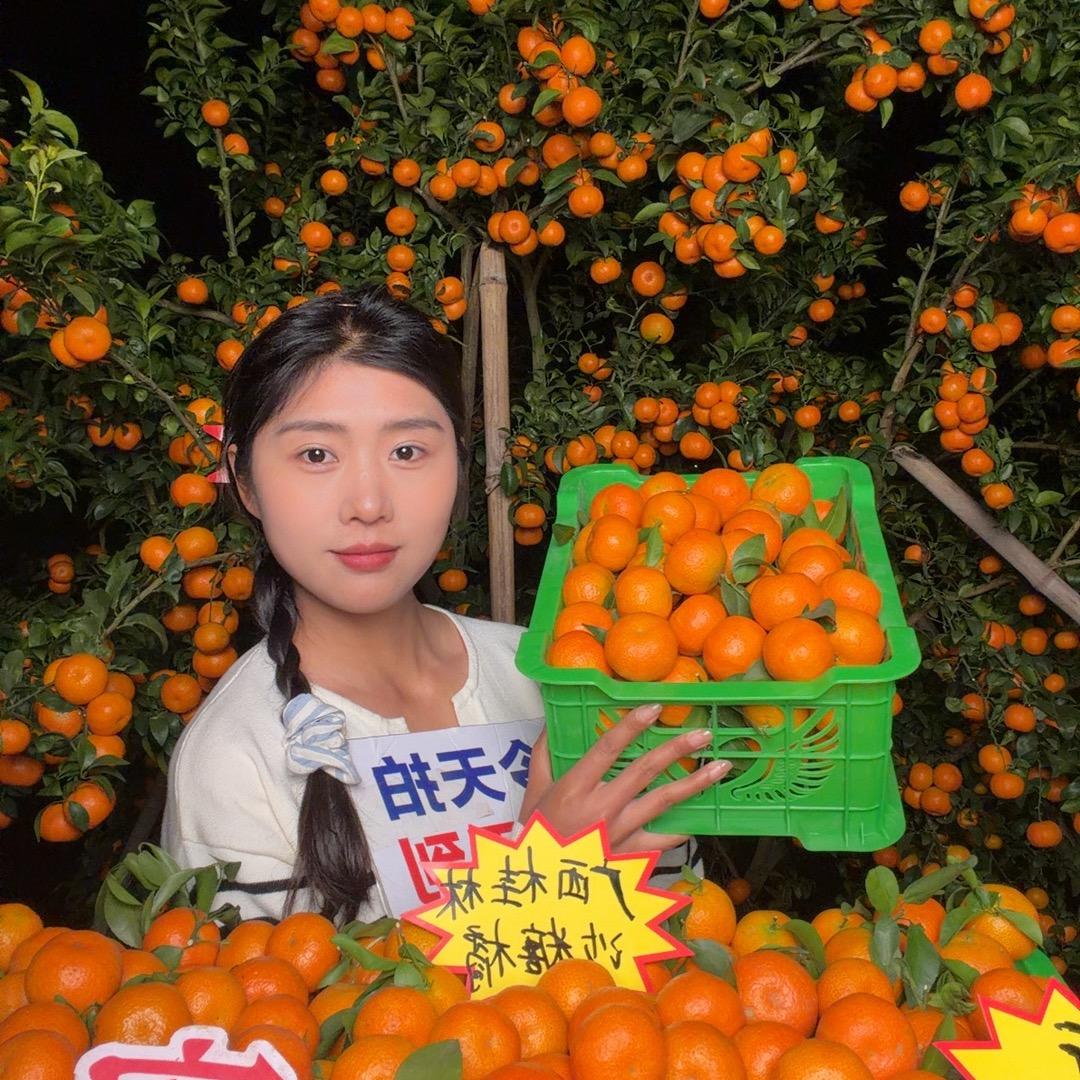果子妹广西桂林砂糖橘