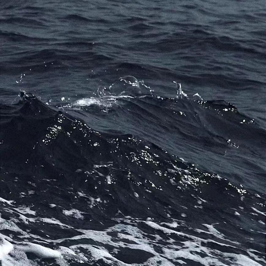 浮沉·