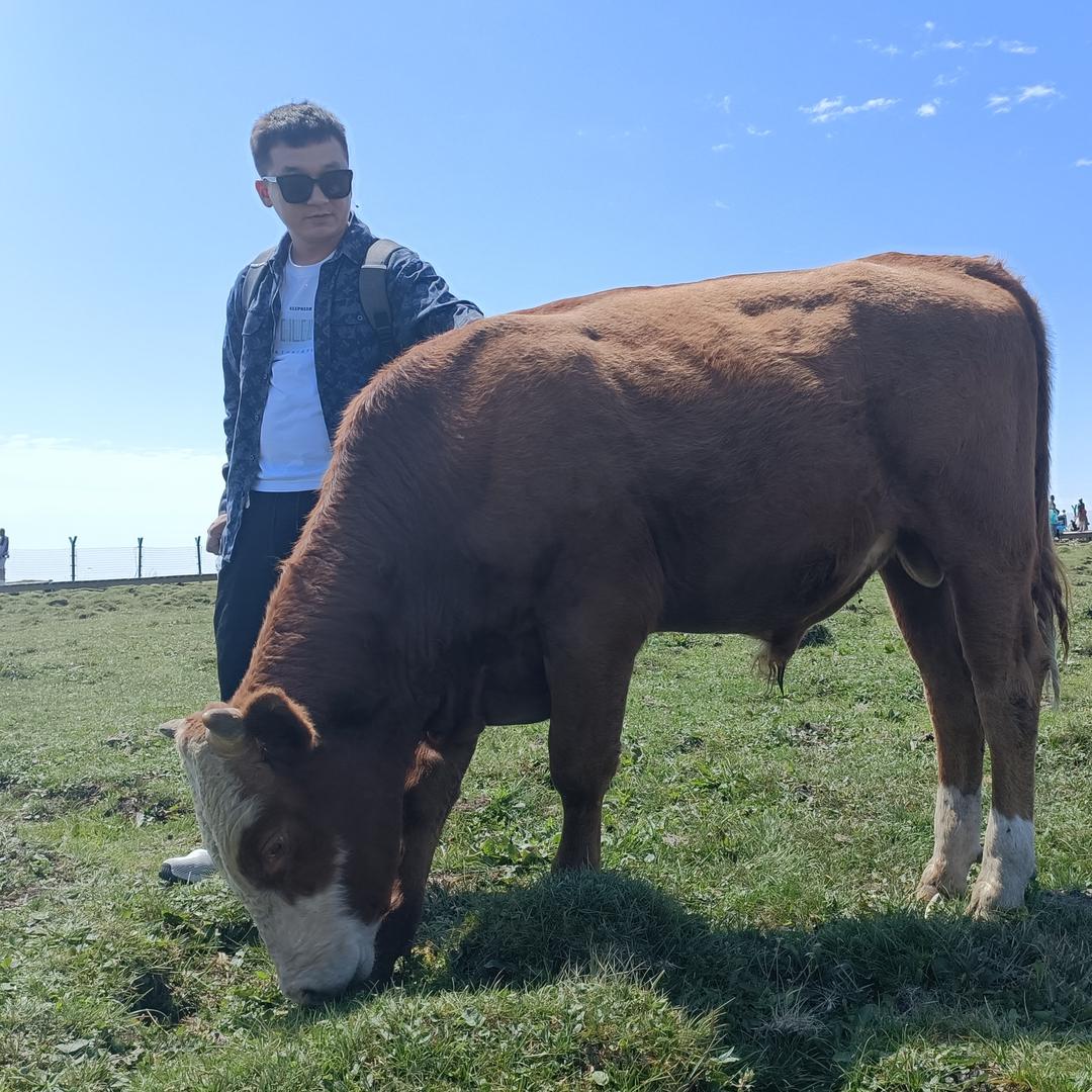 介休常有才（一五班）