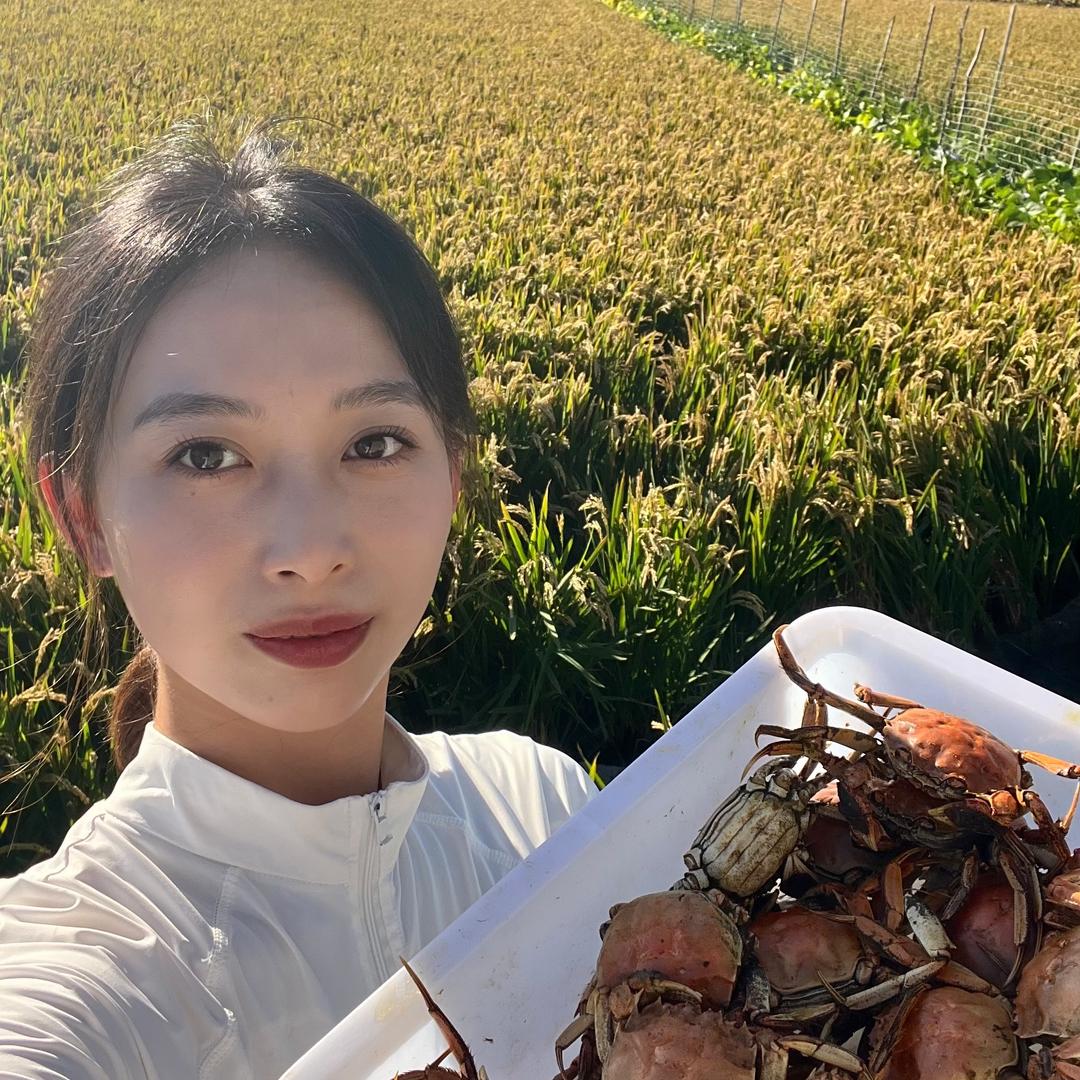 丰禾好选