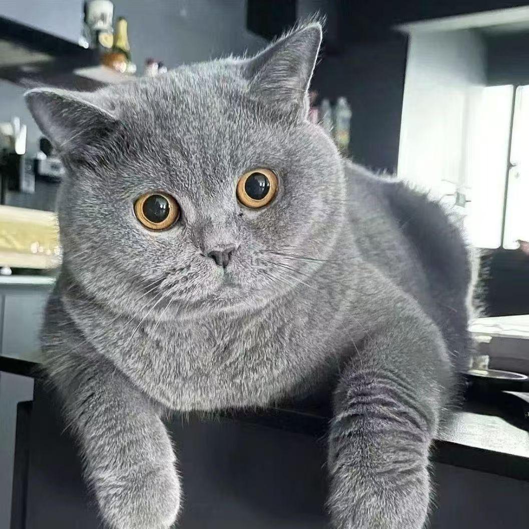 王吉林